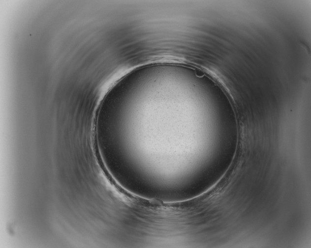 X0000102311379200808011552