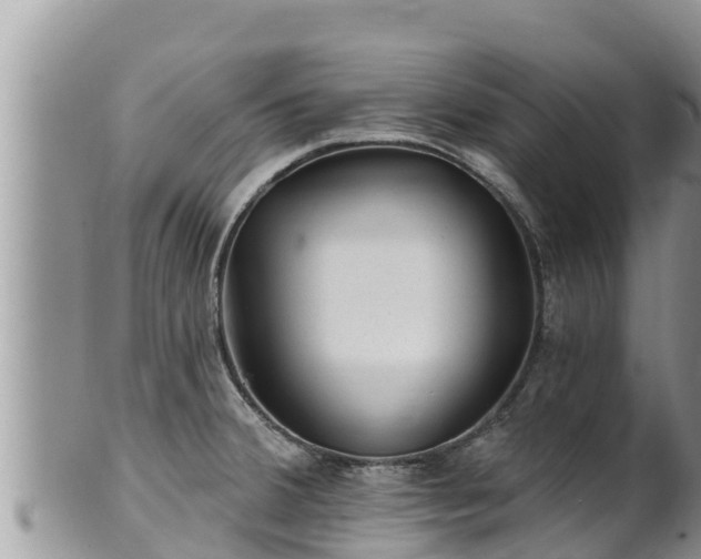 X0000102311380200808011552