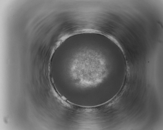 X0000102311381200808011552