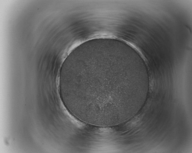 X0000102311383200808011552