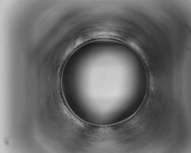 X0000102311384200808011552