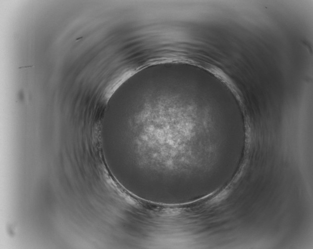 X0000102311385200808011552