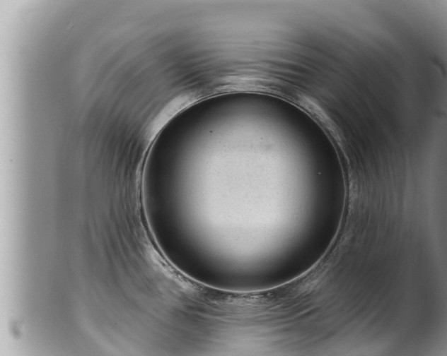 X0000102311386200808011552