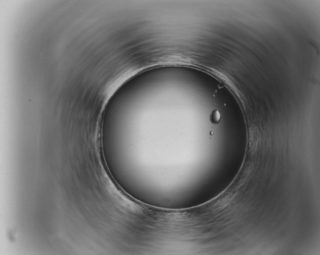 X0000102311387200808011552