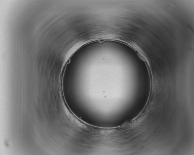 X0000102311389200808011552