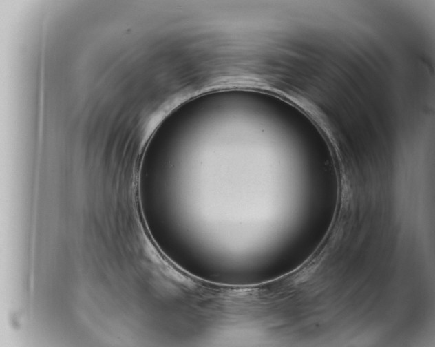 X0000102311390200808011552