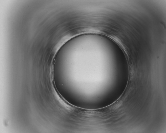 X0000102311391200808011552