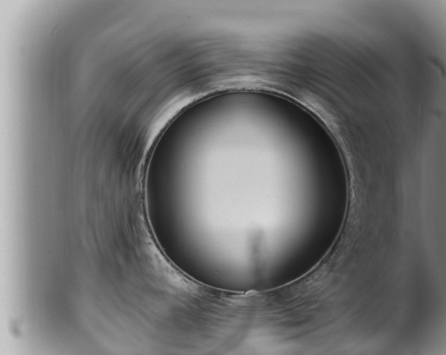 X0000102311392200808011552