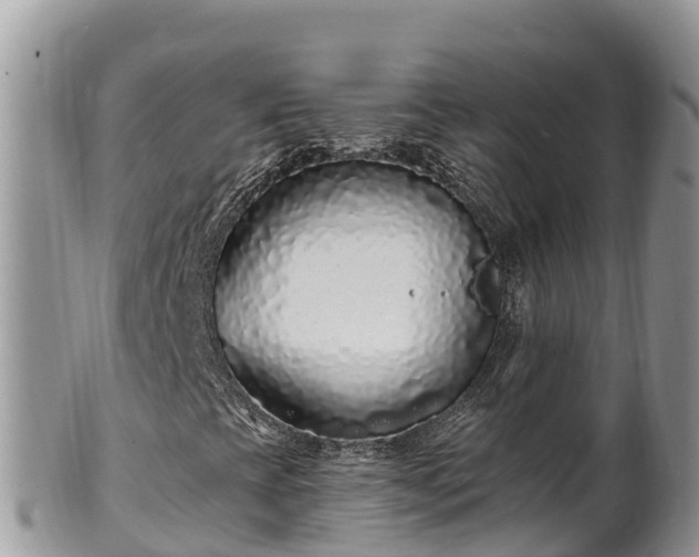 X0000102311393200808011552