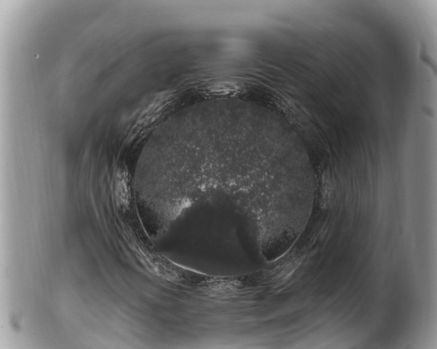 X0000102311394200808011552