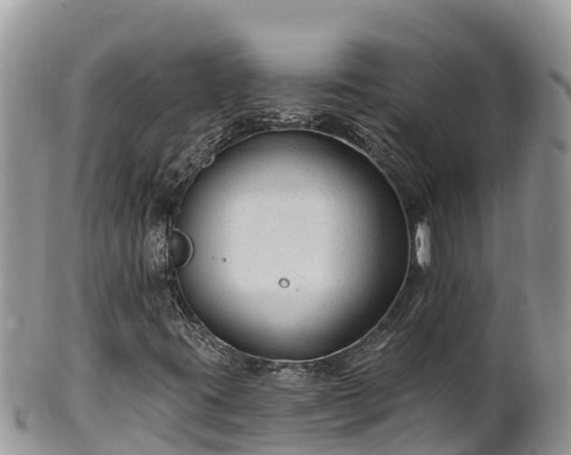 X0000102311395200808011552