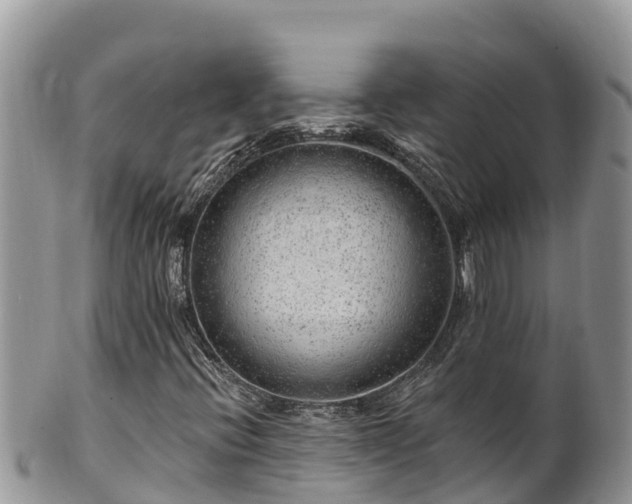 X0000102311396200808011552