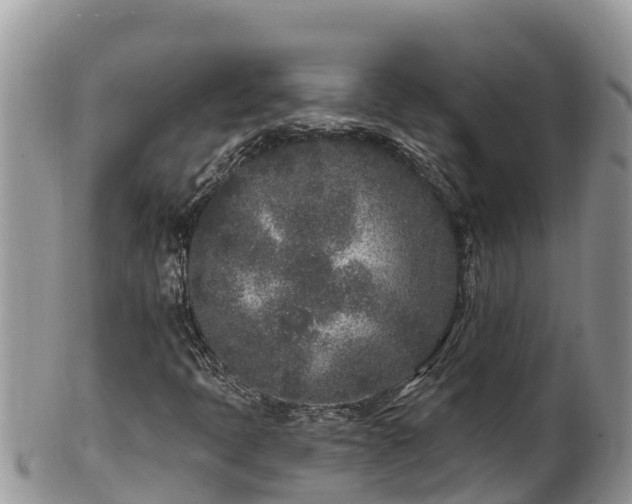 X0000102311397200808011552