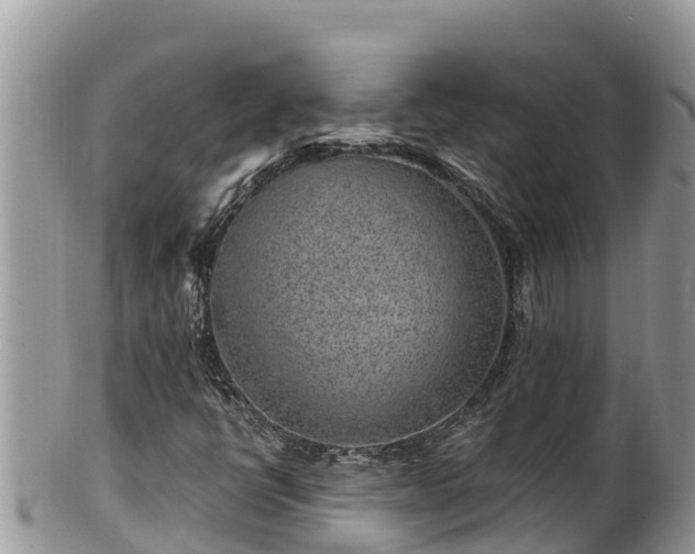 X0000102311398200808011552