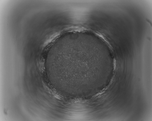 X0000102311399200808011552