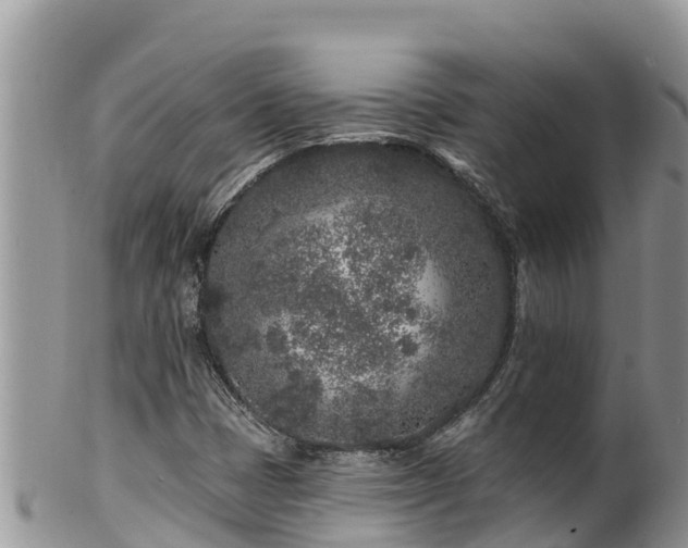 X0000102311401200808011552