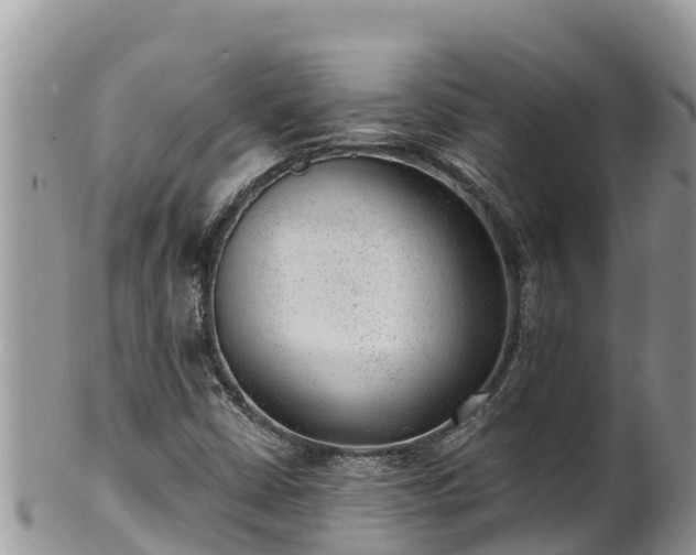 X0000102311402200808011552