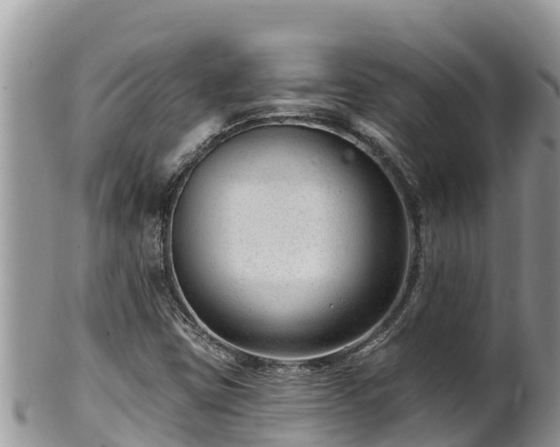 X0000102311403200808011552