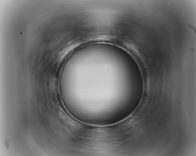 X0000102311404200808011552