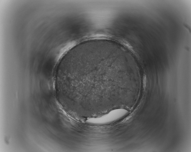 X0000102311405200808011552