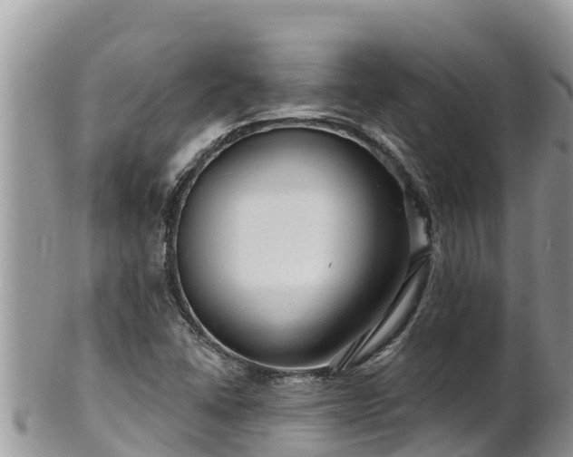 X0000102311406200808011552