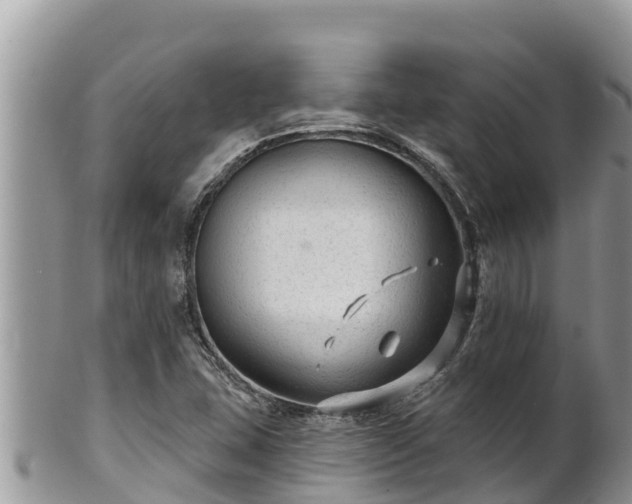 X0000102311407200808011552