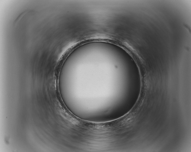 X0000102311408200808011552