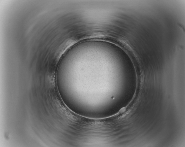 X0000102311409200808011552