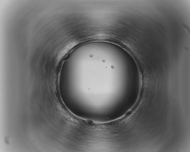 X0000102311410200808011552