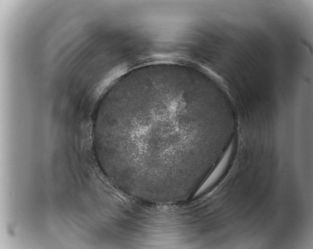 X0000102311411200808011552