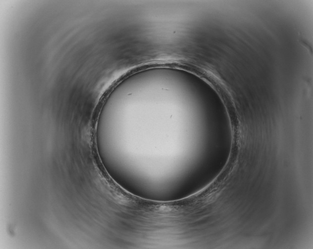 X0000102311412200808011552