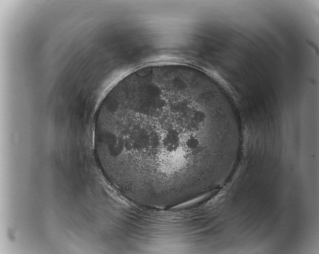 X0000102311413200808011552