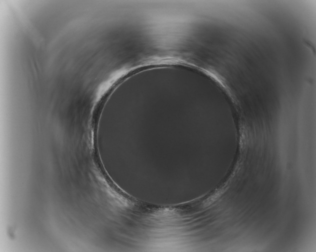 X0000102311414200808011552