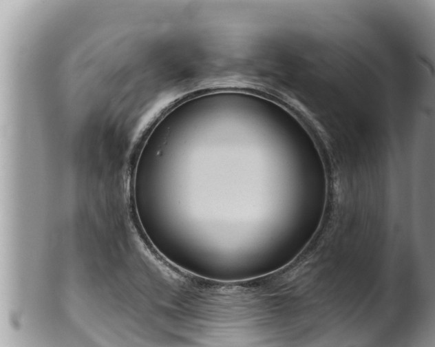 X0000102311416200808011552