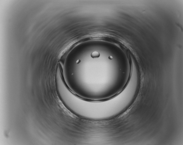 X0000102311417200808011552