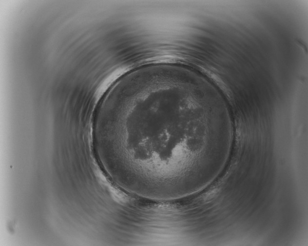 X0000102311418200808011552