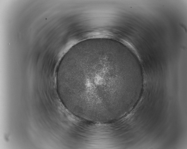 X0000102311419200808011552