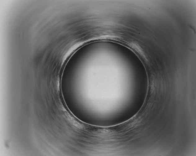 X0000102311420200808011552