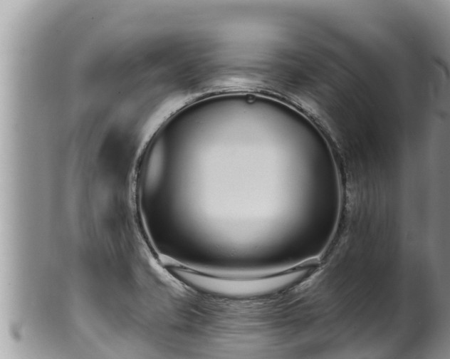 X0000102311421200808011552