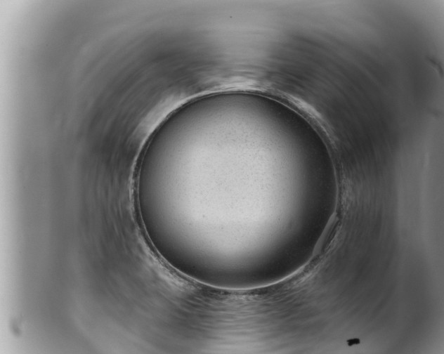 X0000102311423200808011552