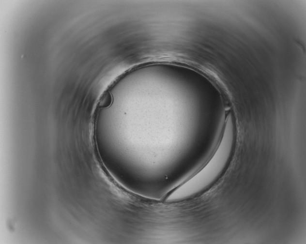 X0000102311424200808011552