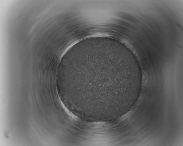 X0000102311425200808011552