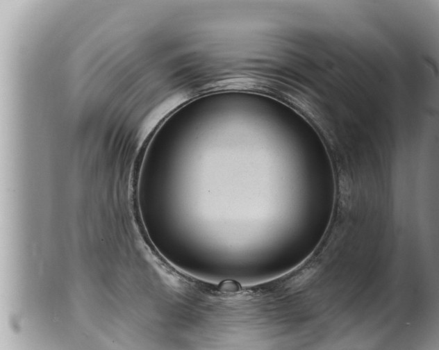 X0000102311426200808011552