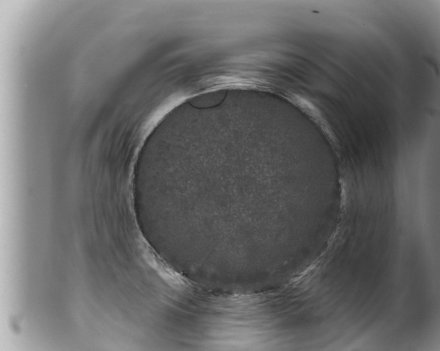 X0000102311427200808011552