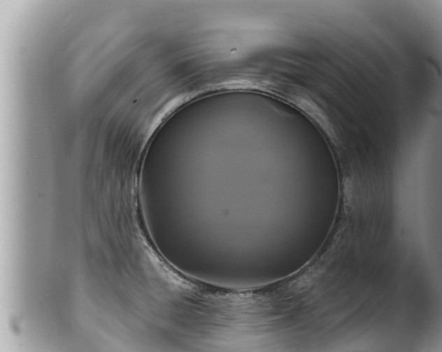 X0000102311428200808011552