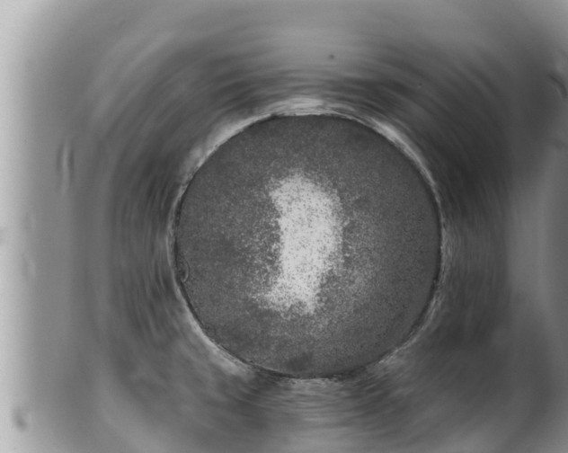 X0000102311429200808011552