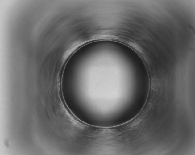 X0000102311430200808011552