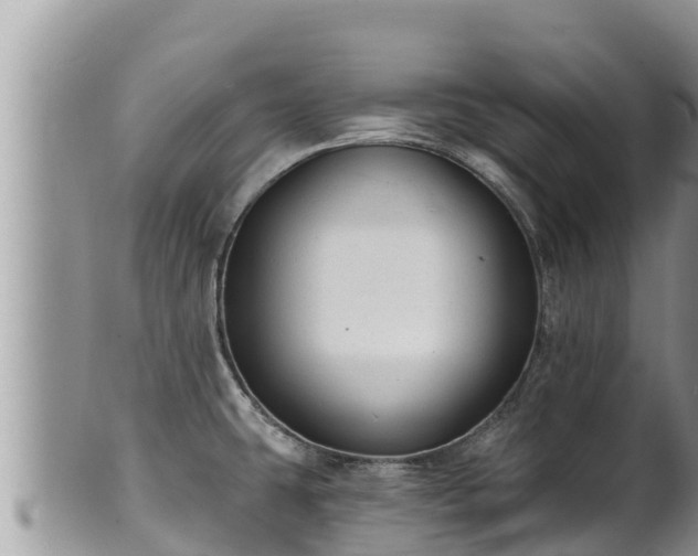 X0000102311431200808011552