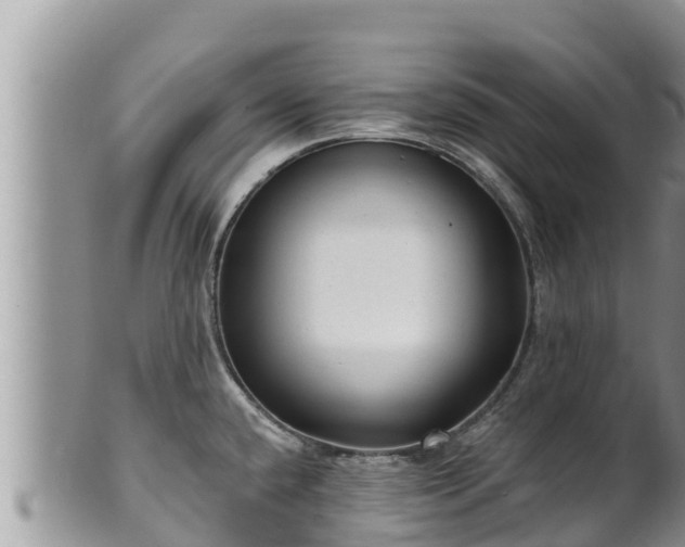 X0000102311432200808011552