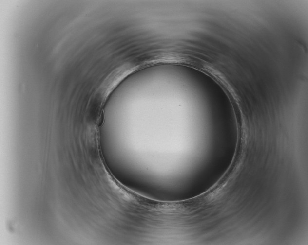 X0000102311433200808011552